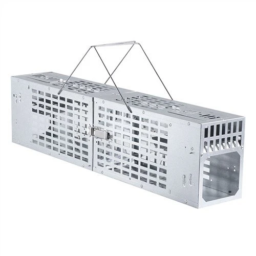 Gaiste Cage Mionc