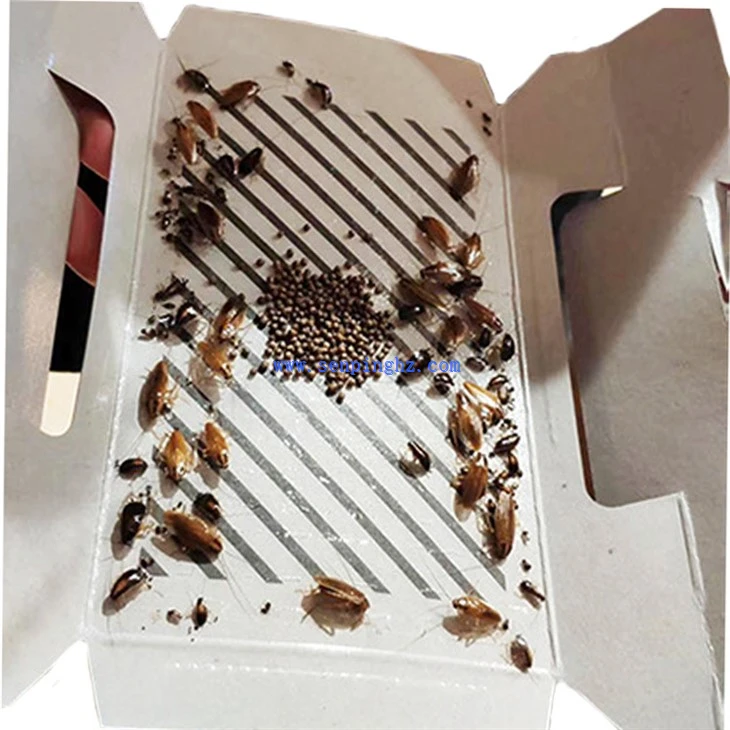 roach Killer Indoor Home
